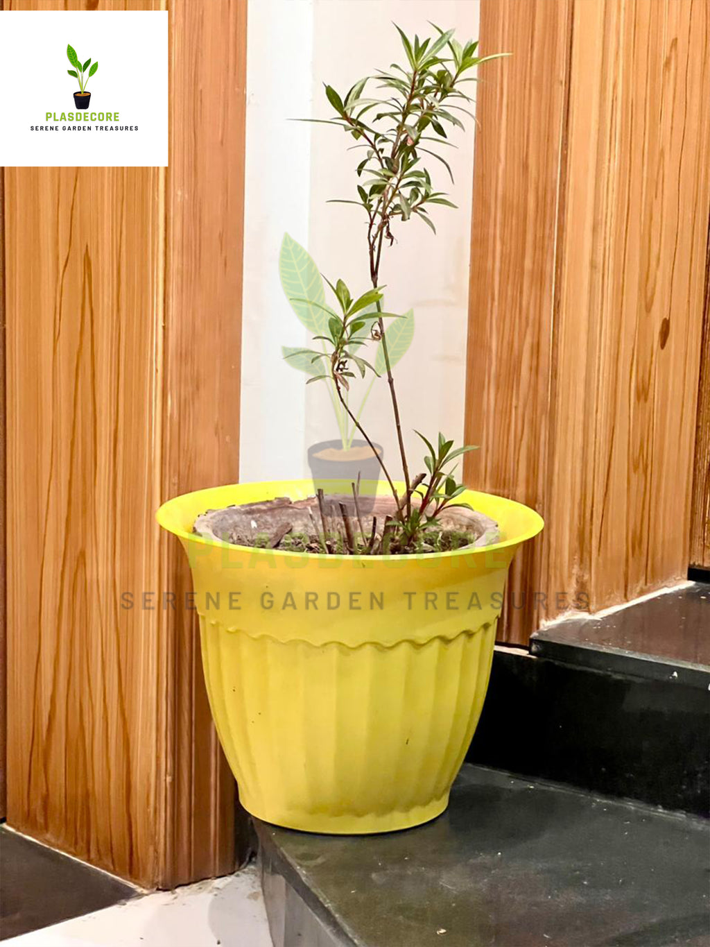 12 inch Plastic Plant Pot | Heavy-Duty Garden Flower Planter with Drainage Holes | Home & Outdoor