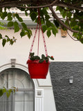 Red hanging planter with a small plant 