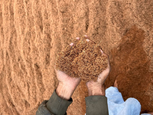 100% Organic Cocopeat – Ready to Use Growing Medium for Plants (1 Kg)