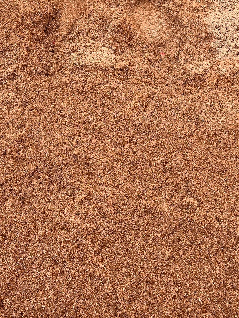 100% Organic Cocopeat – Ready to Use Growing Medium for Plants (1 Kg)