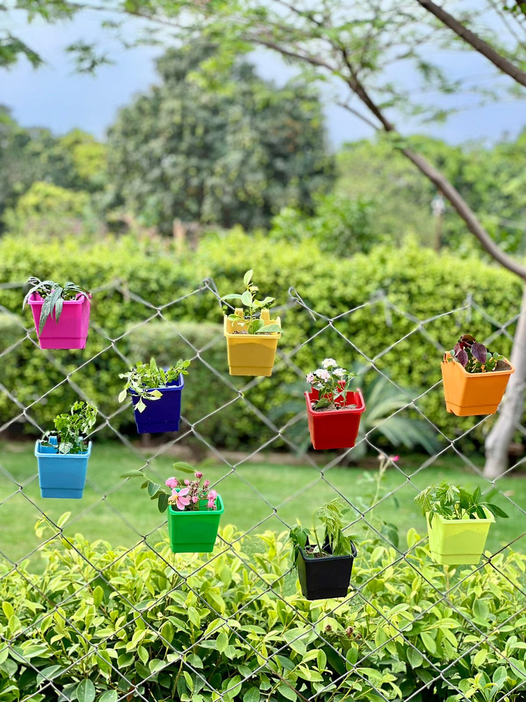 4-Inch Colorful Wall-Mounted Planters for Small Flowers and Shrubs, Garden Planter Pots with Hooks