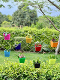 4-Inch Colorful Wall-Mounted Planters for Small Flowers and Shrubs, Garden Planter Pots with Hooks