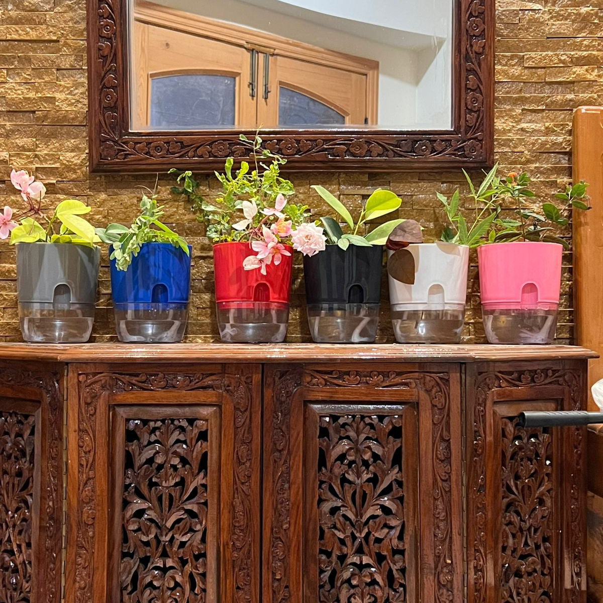 Self Watering Flower Pot | Plastic Planter with Water Reservoir | Home & Garden