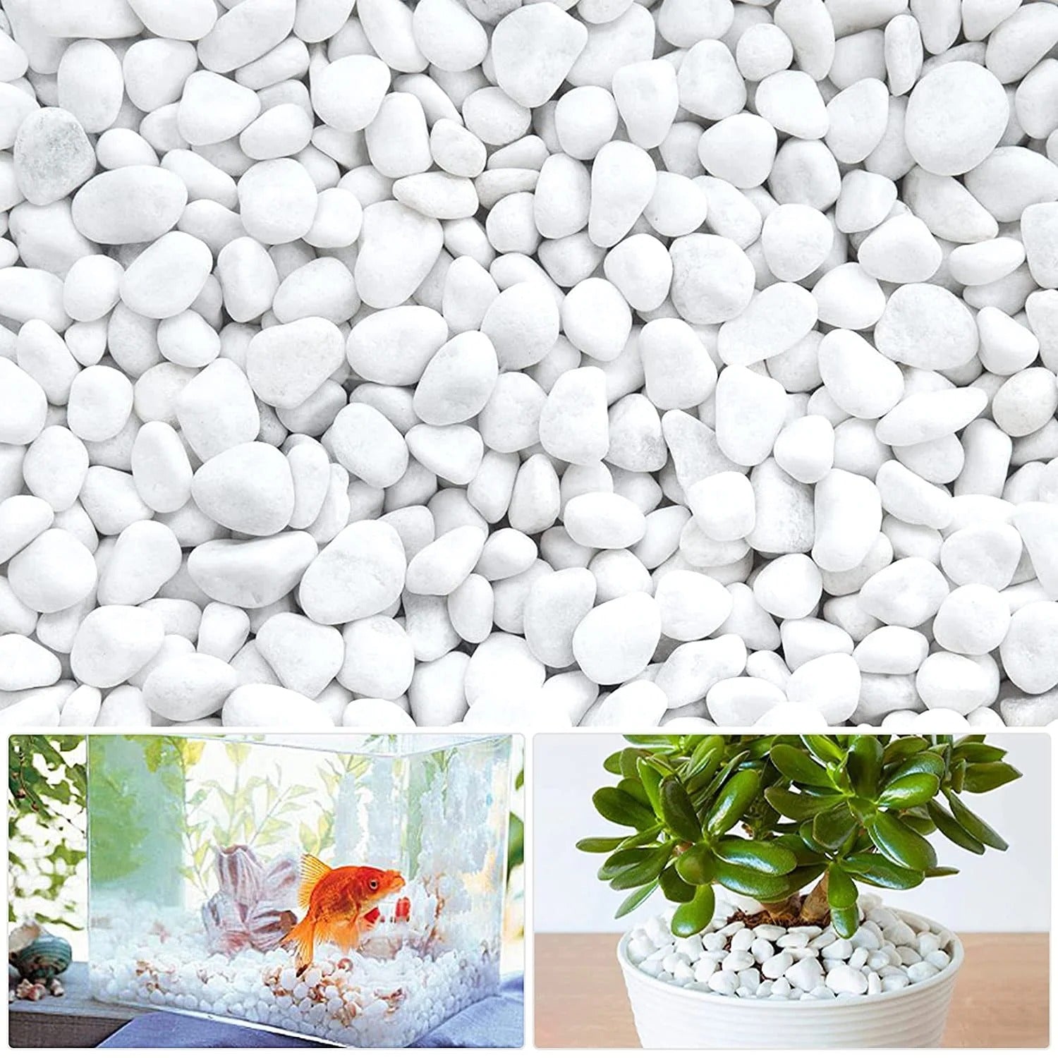 Small White Stones 500g | Decorative Garden Pebbles for Plants, Pots & Home Décor