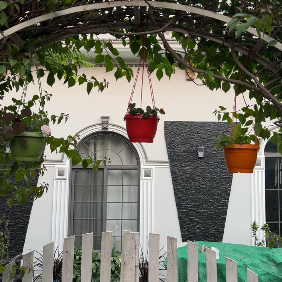 6 Inch Plastic Hanging Plant Pot | Flower Planter Basket for Balcony, Garden & Indoor