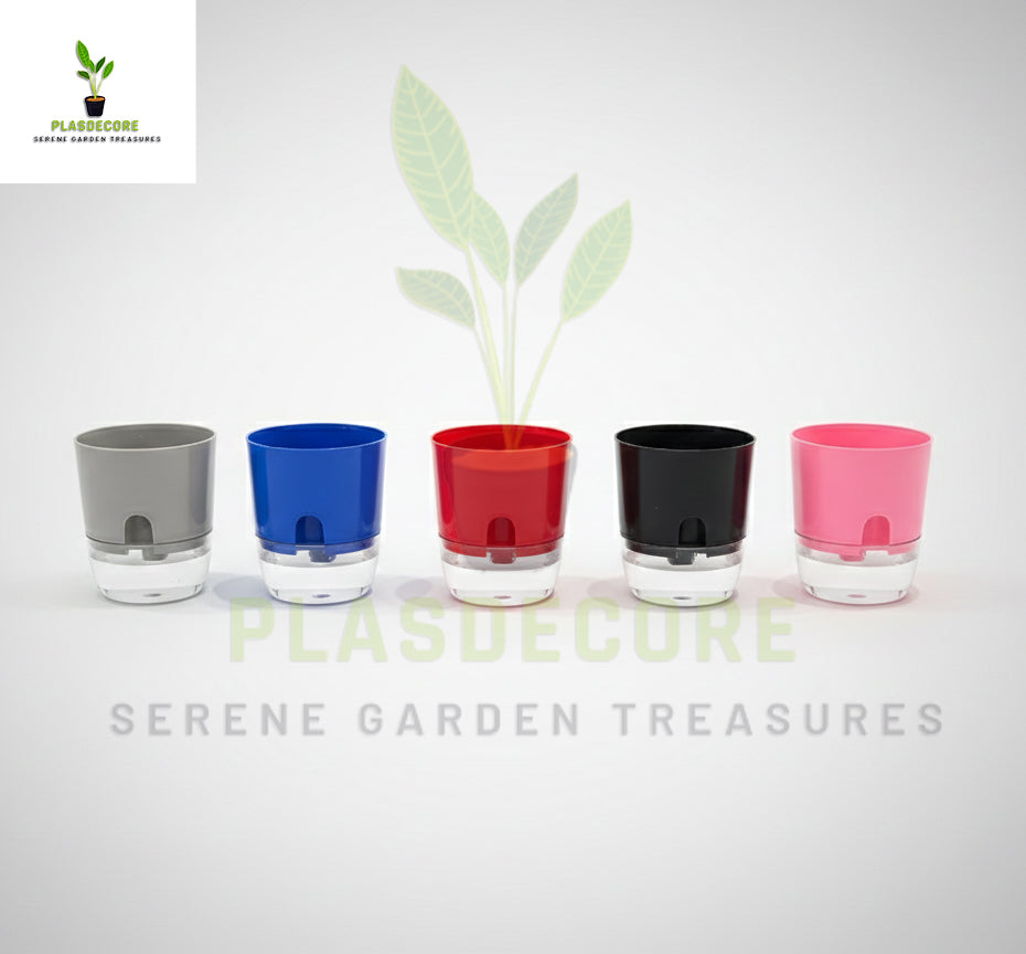 Self Watering Flower Pot | Plastic Planter with Water Reservoir | Home & Garden