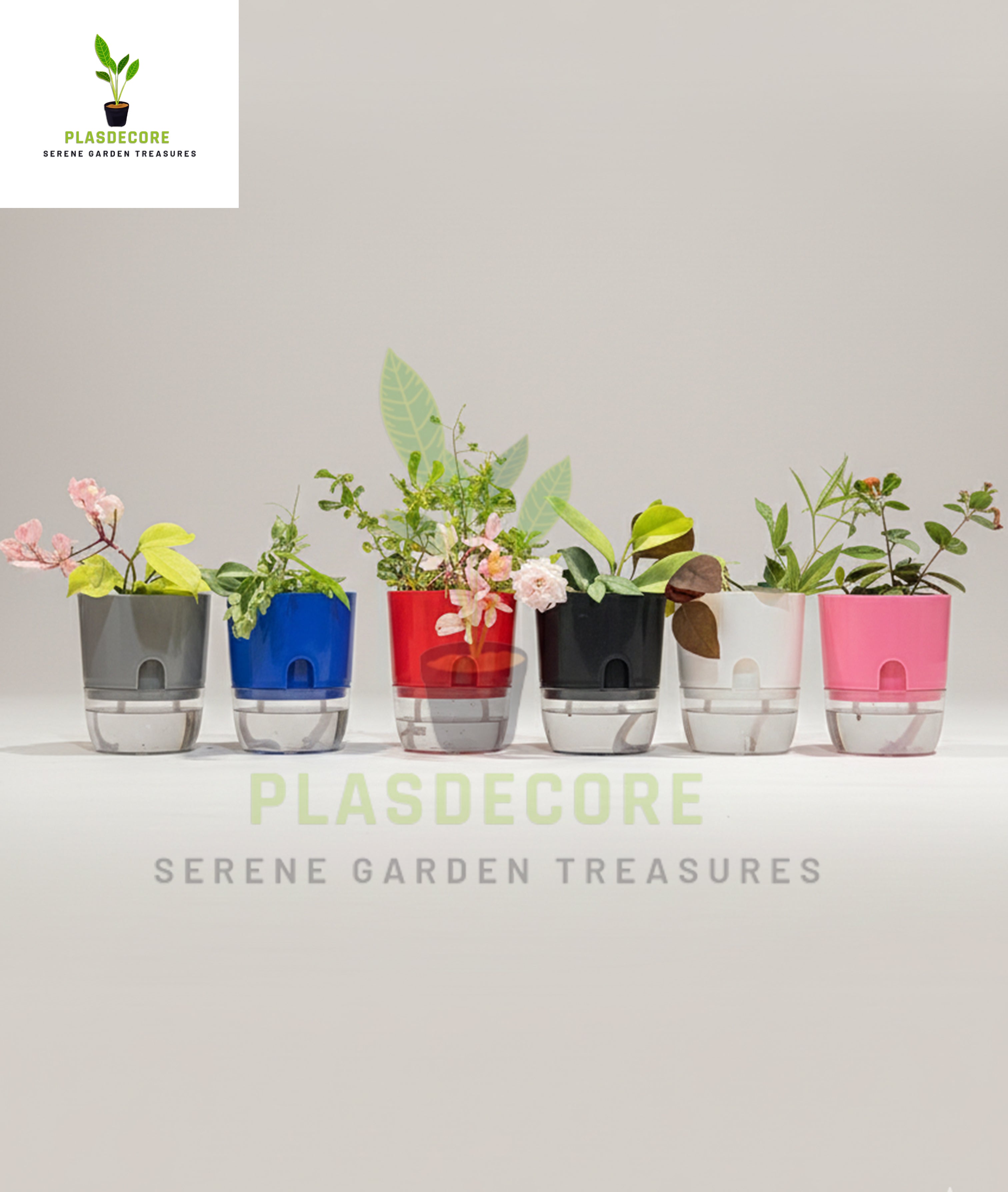 Self Watering Flower Pot | Plastic Planter with Water Reservoir | Home & Garden